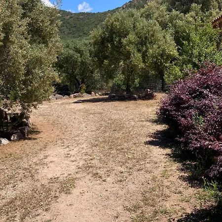 élégante à Avec Piscine Privée Et Vue Sur La *