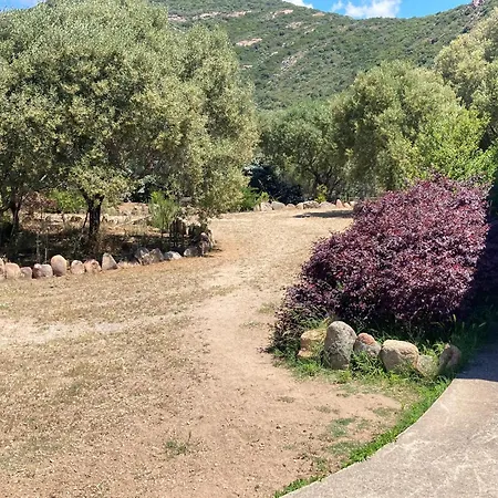 élégante à Avec Piscine Privée Et Vue Sur La Villa Sagone (Corsica)