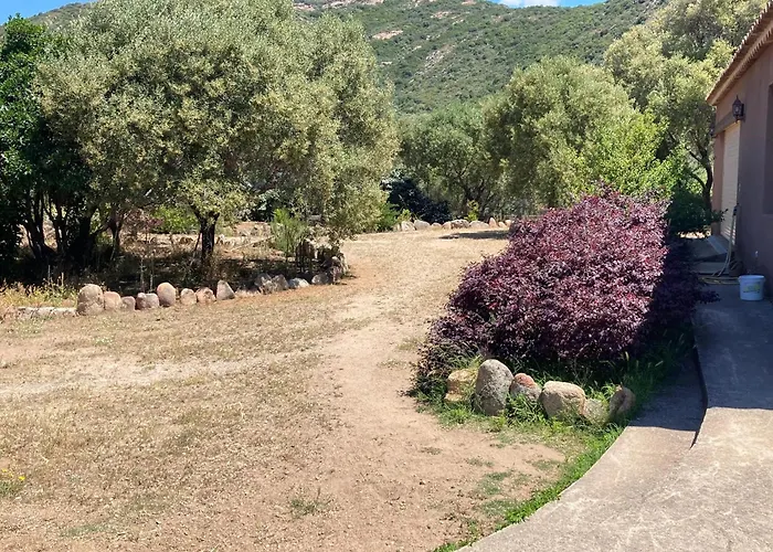 Elegante A Avec Piscine Privee Et Vue Sur La Vila Sagone (Corsica)